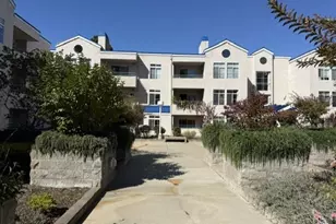 535 Pierce St, Albany, CA 94706 - Photo 3