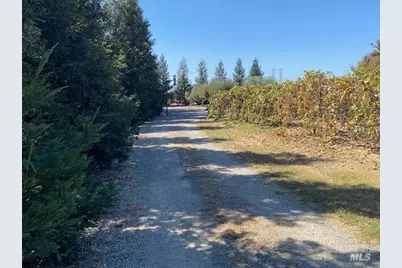 8320 Shadi Lane, Winters, CA 95694 - Photo 67