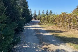 8320 Shadi Ln, Winters, CA 95694 - Photo 67