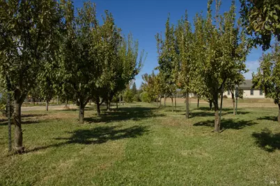8320 Shadi Lane, Winters, CA 95694 - Photo 11