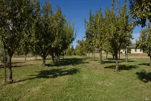 8320 Shadi Ln, Winters, CA 95694 - Photo 11
