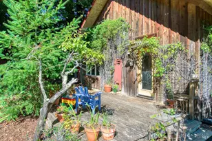12395 Sir Francis Drake Blvd, Inverness, CA 94956 - Photo 27