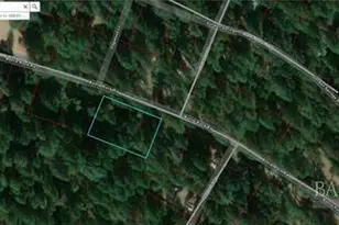 15865 Bottle Rock Rd, Cobb, CA 95426 - Photo 21