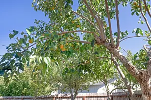 1136 Navarro St, Santa Rosa, CA 95401 - Photo 33