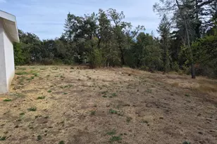 506 White Cottage Rd, Angwin, CA 94508 - Photo 41