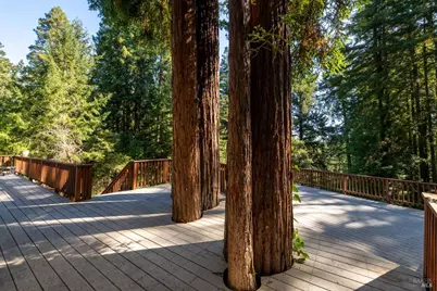 11532 Occidental Road, Sebastopol, CA 95472 - Photo 25