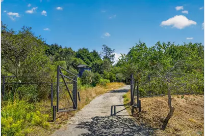 6976 Panoramic Highway, Stinson Beach, CA 94970 - Photo 77