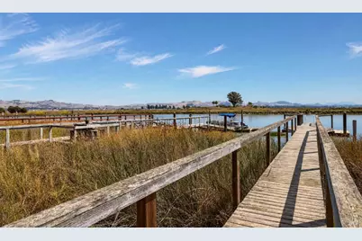 1596 Milton Road, Napa, CA 94559 - Photo 47