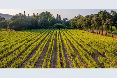 1105 Lodi Lane, Saint Helena, CA 94574 - Photo 53