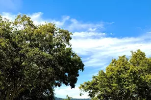 317 Mark Way, Napa, CA 94558 - Photo 27
