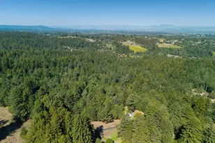 819 Jonive Rd, Sebastopol, CA 95472 - Photo 71