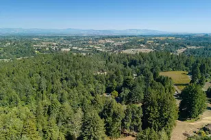 819 Jonive Rd, Sebastopol, CA 95472 - Photo 69