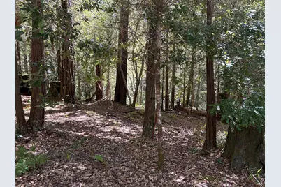 388 Moonraker Road, The Sea Ranch, CA 95497 - Photo 3
