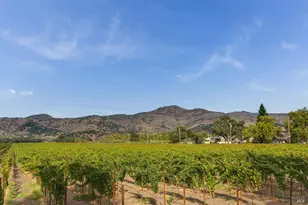 6950 Yount St, Yountville, CA 94599 - Photo 43