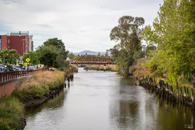 932 Wood Sorrel Drive, Petaluma, CA 94954 - Photo 31