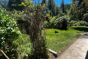 1700 Ca-20 Hwy, Willits, CA 95490 - Photo 7