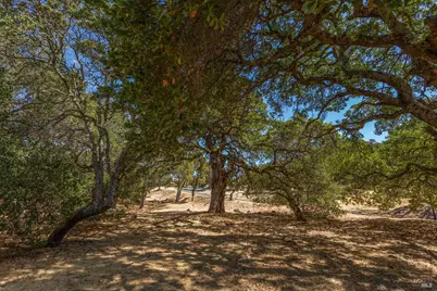 743 Bridle Ridge Court, Fairfield, CA 94534 - Photo 57