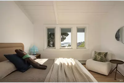 214 Cleveland Court, Mill Valley, CA 94941 - Photo 13