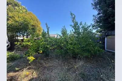 7534 Adrian Drive, Rohnert Park, CA 94928 - Photo 21