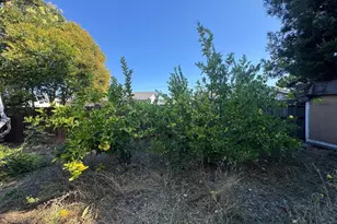 7534 Adrian Dr, Rohnert Park, CA 94928 - Photo 21