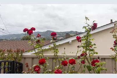 4508 Whitecliff Way, Richmond, CA 94803 - Photo 61
