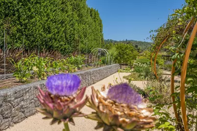 1265 Castle Road, Sonoma, CA 95476 - Photo 11