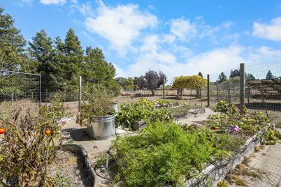 51 Boylan Lane, Sebastopol, CA 95472 - Photo 57