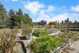 51 Boylan Ln, Sebastopol, CA 95472 - Photo 57