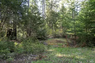 40410 Old Stage Rd, Gualala, CA 95445 - Photo 1