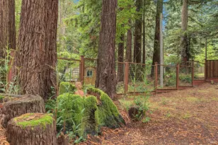 2411 Joy Rd, Occidental, CA 95465 - Photo 61