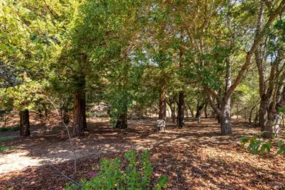 1497 Hurlbut Lane, Sebastopol, CA 95472 - Photo 41