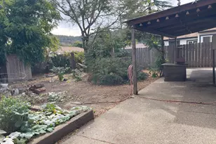 11 Bryan Ave, Napa, CA 94558 - Photo 5
