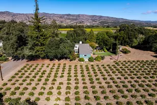 1177 Ragatz Ln, Napa, CA 94558 - Photo 63
