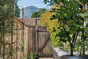 16 Nelson, Mill Valley, CA 94941 - Photo 31