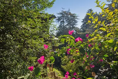 53 Castle Rock Drive, Mill Valley, CA 94941 - Photo 47