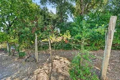 910 S Cloverdale Boulevard, Cloverdale, CA 95425 - Photo 37