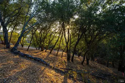 0 E Spring Street, Napa, CA 94559 - Photo 7