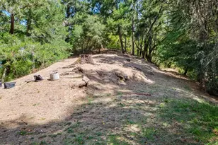 469 Corona Ave, Lagunitas, CA 94938 - Photo 61