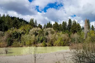 16620 Guernewood Rd, Guerneville, CA 95446 - Photo 57