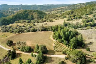 25400 Hulbert Rd, Yorkville, CA 95494 - Photo 3