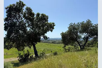 2186 Monticello Road, Napa, CA 94558 - Photo 7