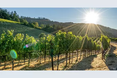 2340 Mount Veeder Road, Napa, CA 94558 - Photo 15