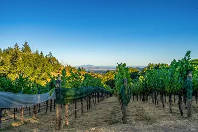 2340 Mount Veeder Road, Napa, CA 94558 - Photo 17