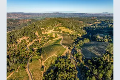 2340 Mount Veeder Road, Napa, CA 94558 - Photo 5