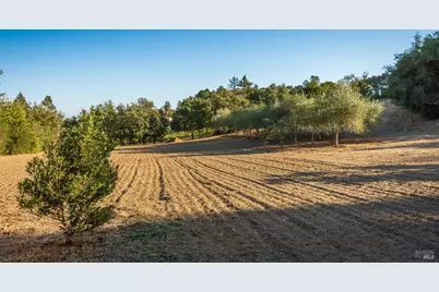 4131 Dry Creek Road, Napa, CA 94558 - Photo 51