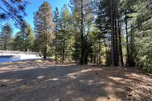 27595 19 N 16 Rd, Potter Valley, CA 95469 - Photo 15