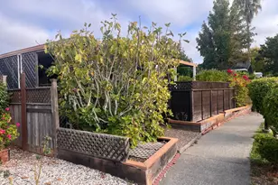 193 Isle Royale Ct, San Rafael, CA 94903 - Photo 11