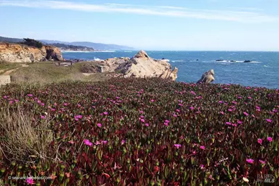 41739 Leeward Road, The Sea Ranch, CA 95497 - Photo 39