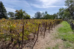 2565 Piner Rd, Santa Rosa, CA 95401 - Photo 13