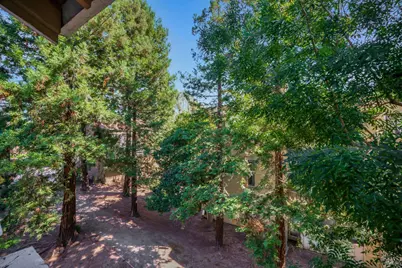 308 Mill Road, Martinez, CA 94553 - Photo 23
